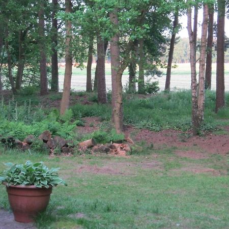 Vakantiehuis Op Top Locatie #Ommen Luaran gambar
