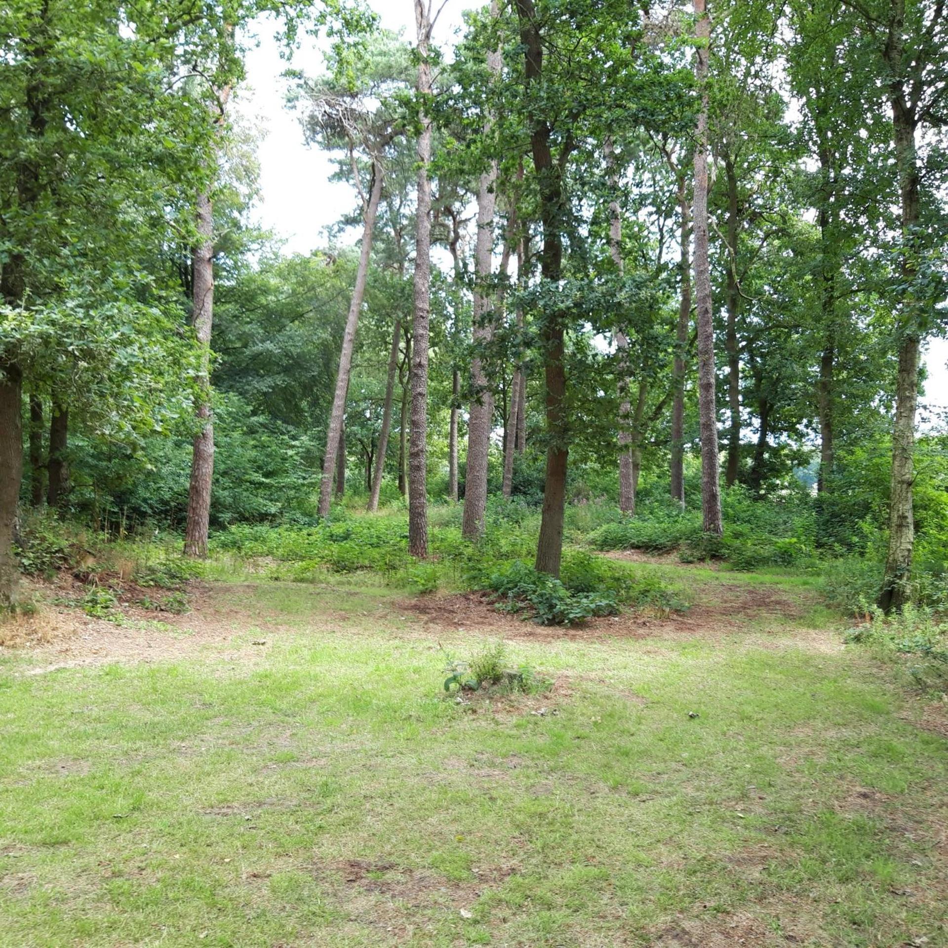 Vakantiehuis Op Top Locatie #Ommen Luaran gambar